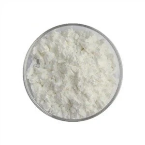Lactobacillus Acidophilus